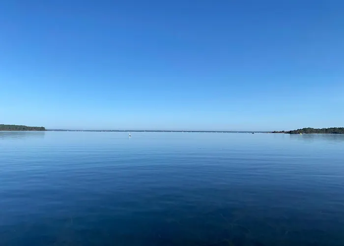Au Coeur De La Nature Saint-Paul-en-Born